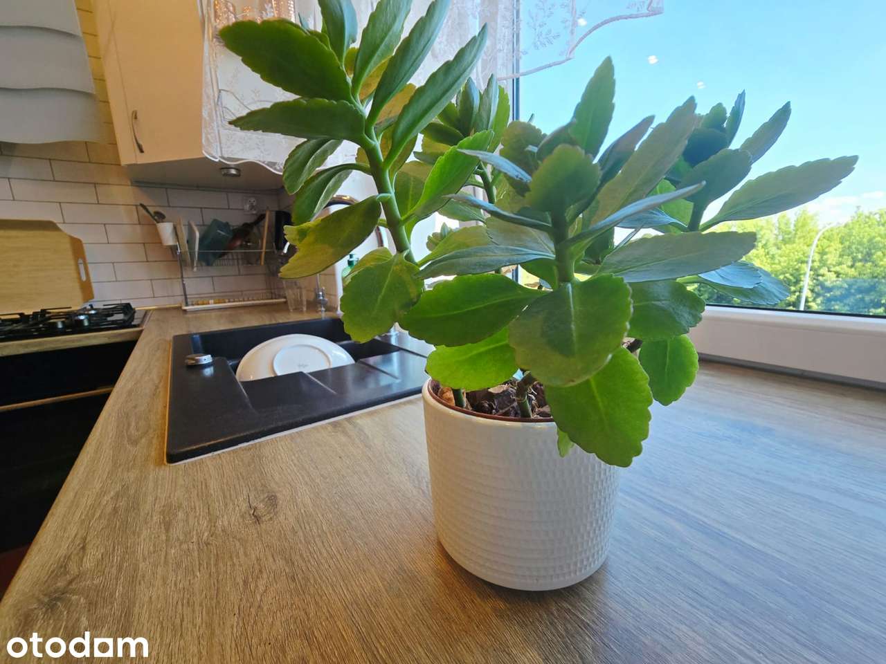 3 pokoje | 72 m² | Po generalnym remoncie | Balkon | Piwnica 11 m²