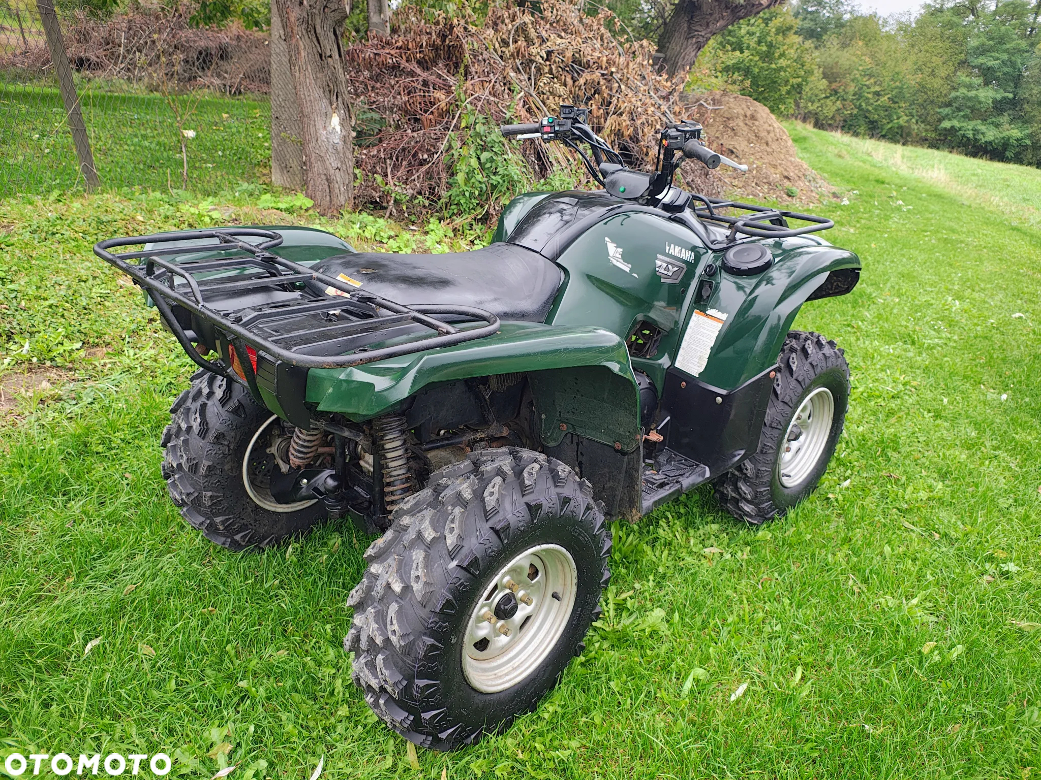 Yamaha Grizzly - 4