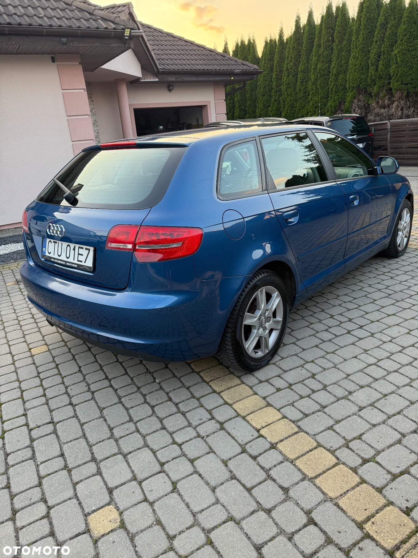 Audi A3 1.6 TDI 99g DPF - 16