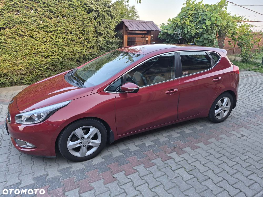 Kia Ceed - 1