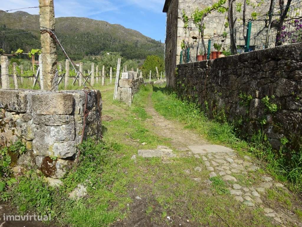 Terreno agrícola na Cabração- Ponte de Lima - Grande imagem: 5/5