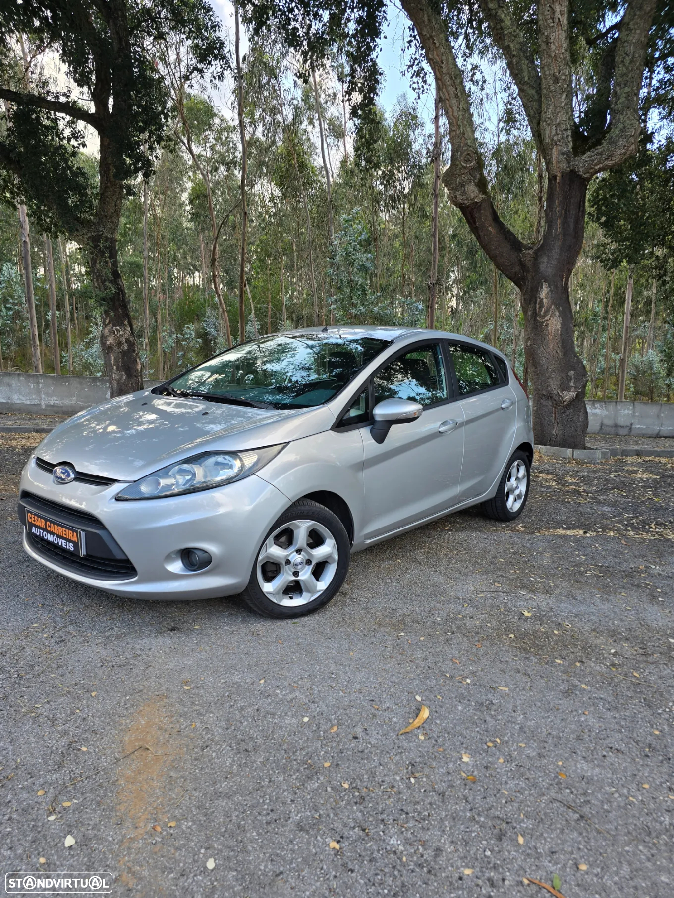 Ford Fiesta 1.4 TDCi Trend - 2