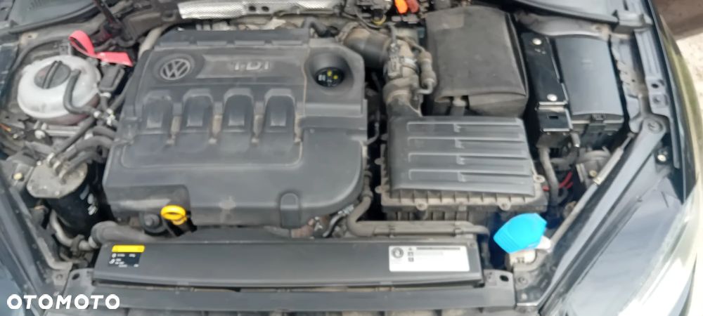 Volkswagen Golf - 17