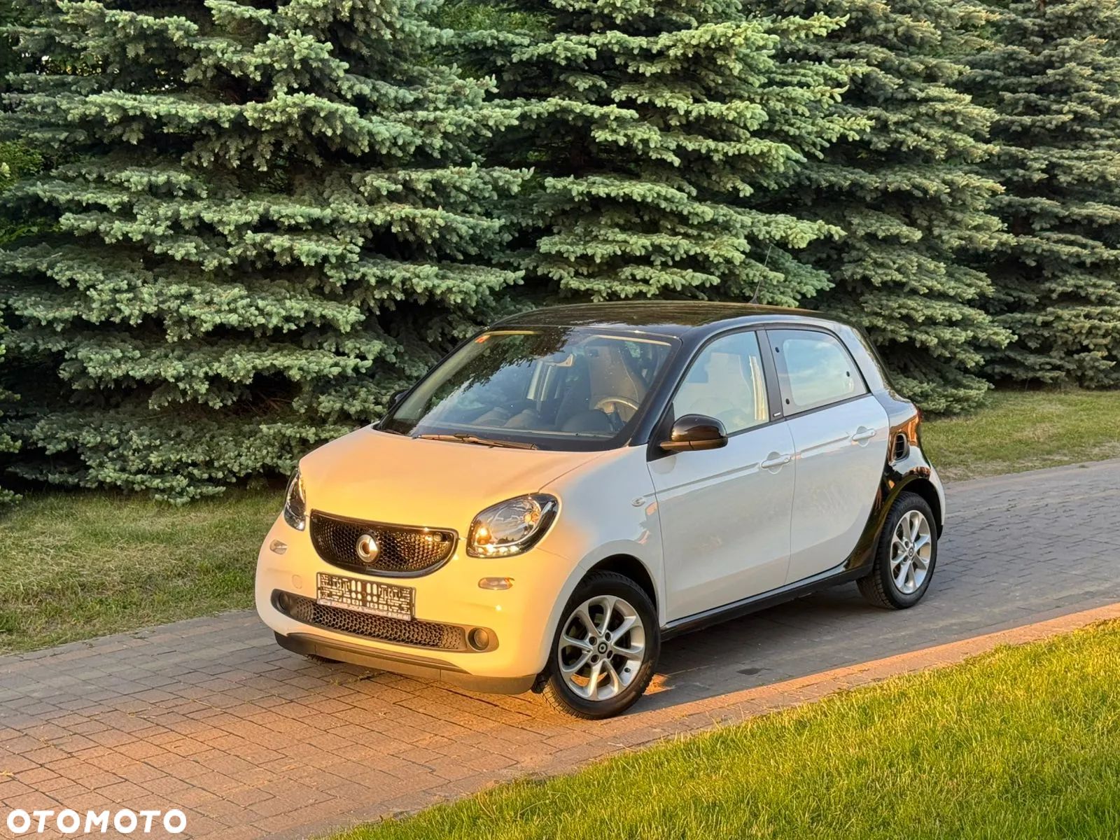 Smart Forfour passion - 1