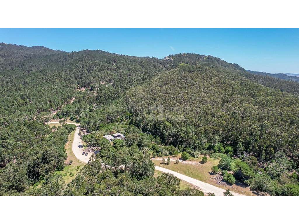 Terreno com 31.480 m2 junto à Estrada da Lagoa Azul, Penha Longa - Grande imagem: 2/32