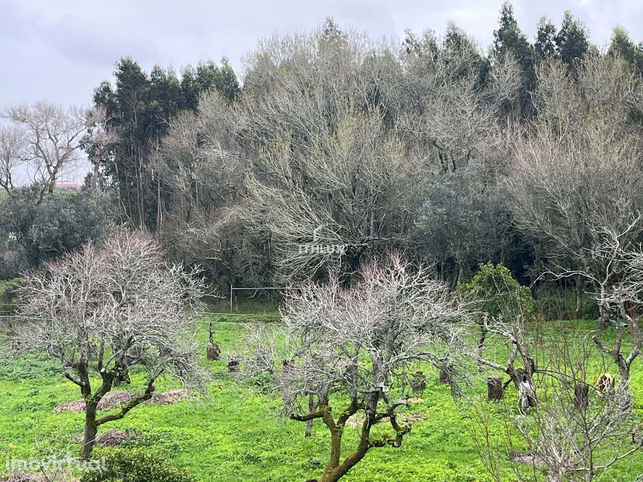 Quinta Sintra - 10 minutos do Centro da Vila - 5 minutos IC19-A16 - Grande imagem: 5/32