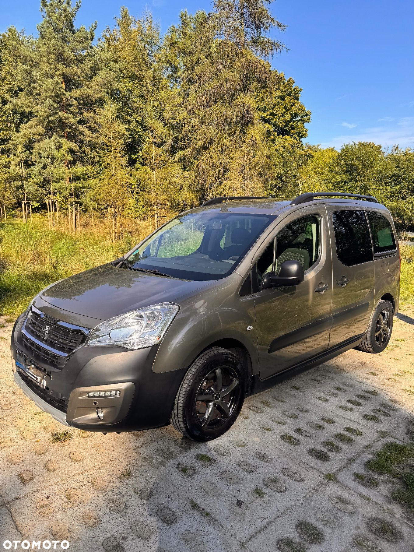 Peugeot Partner 1.6 BlueHDi Active - 1