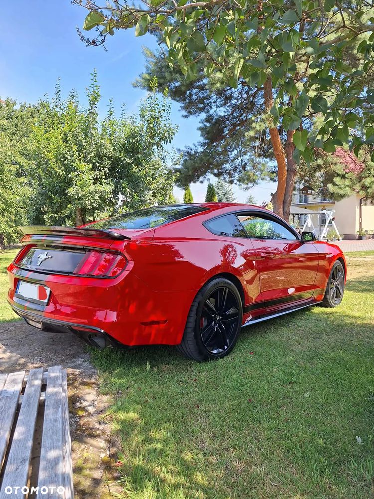 Ford Mustang - 9