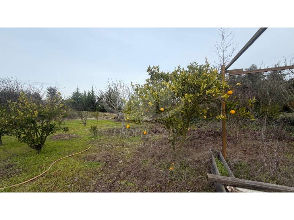 Terreno de 9.300 m² com construção, na Lau, Palmela - Grande imagem: 3/29