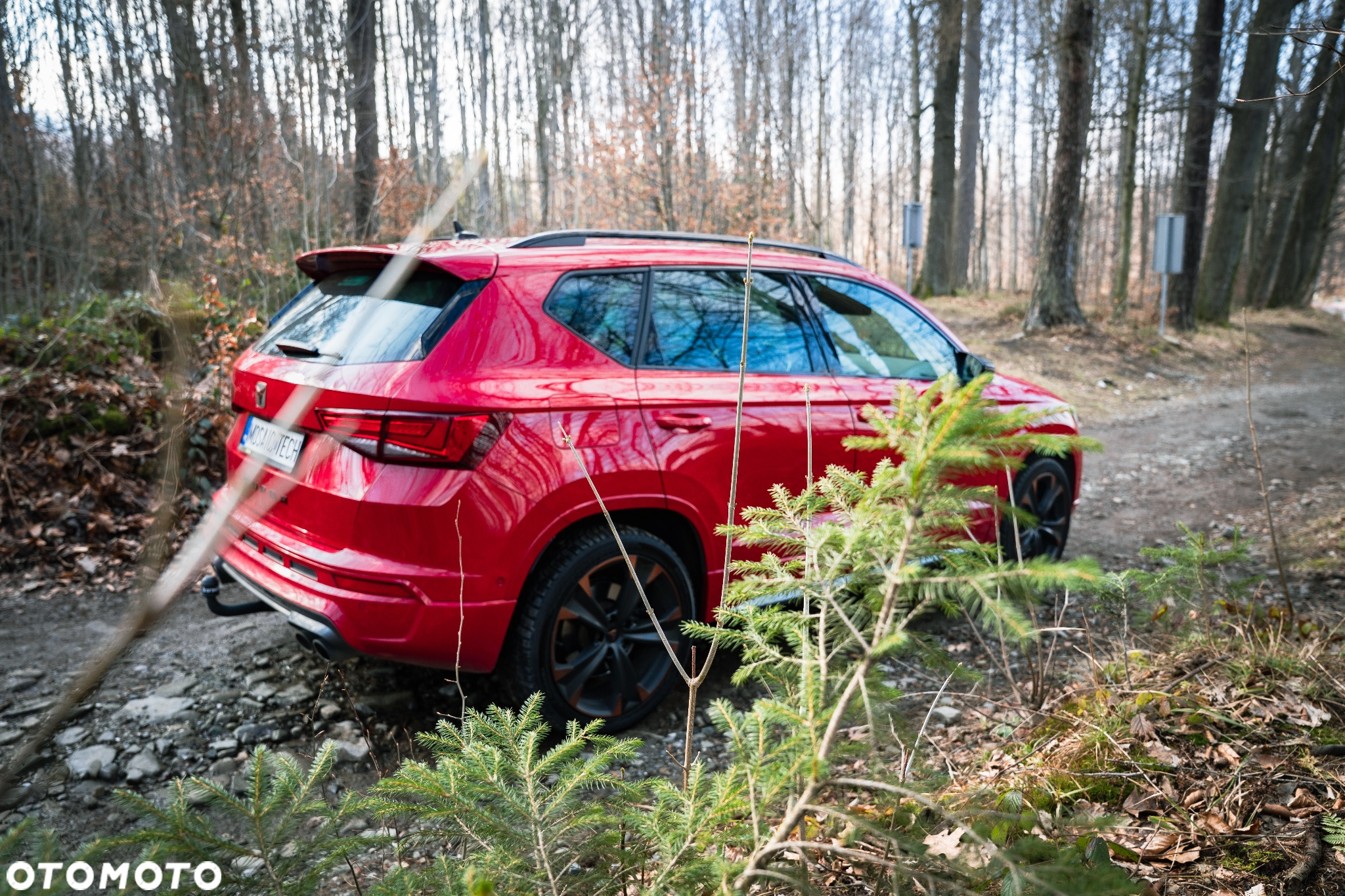 Cupra Ateca 2.0 TSI 4Drive DSG - 8