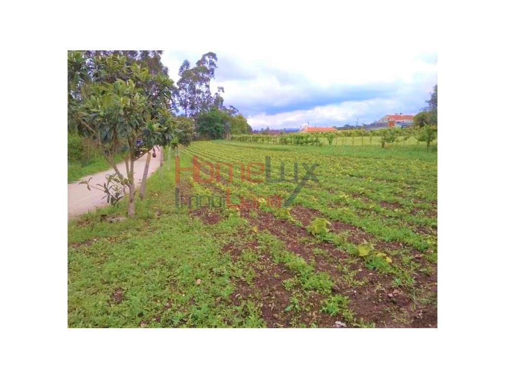 Terreno c/ 1 770 m2 de área e 100 m de frente p/ construção em Trav... - Grande imagem: 3/10