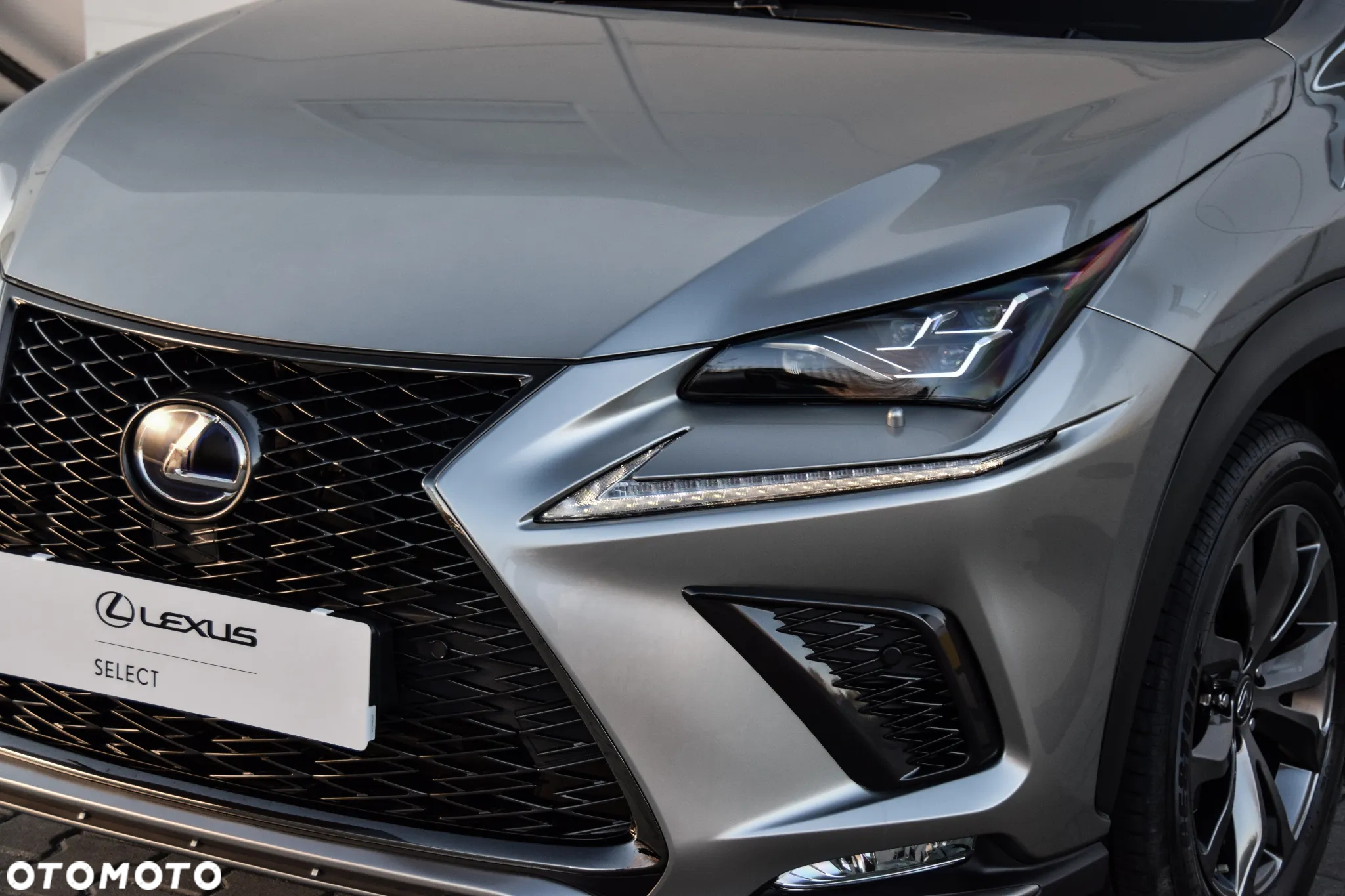 Lexus NX 300h F Sport Edition AWD - 16
