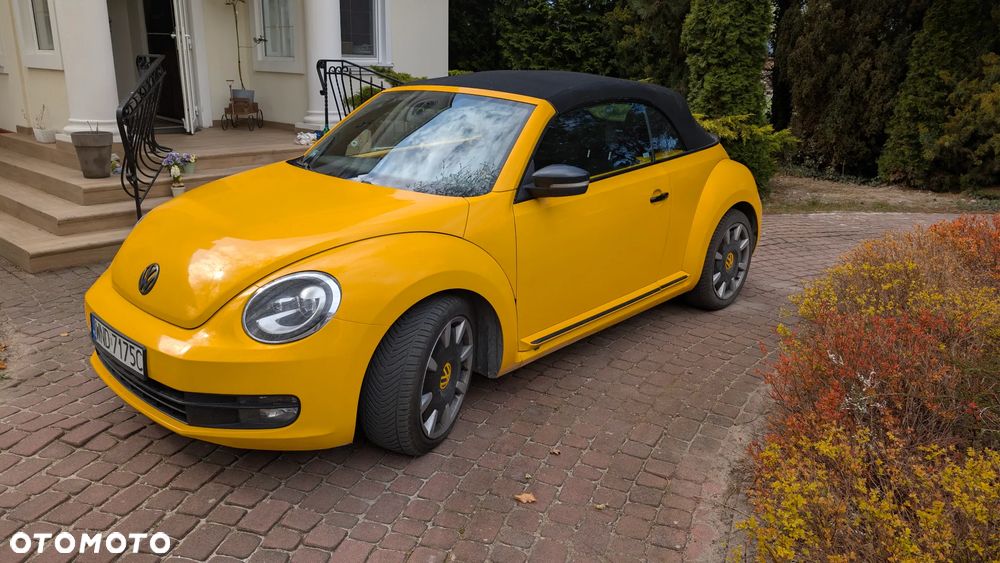 Volkswagen Beetle - 1
