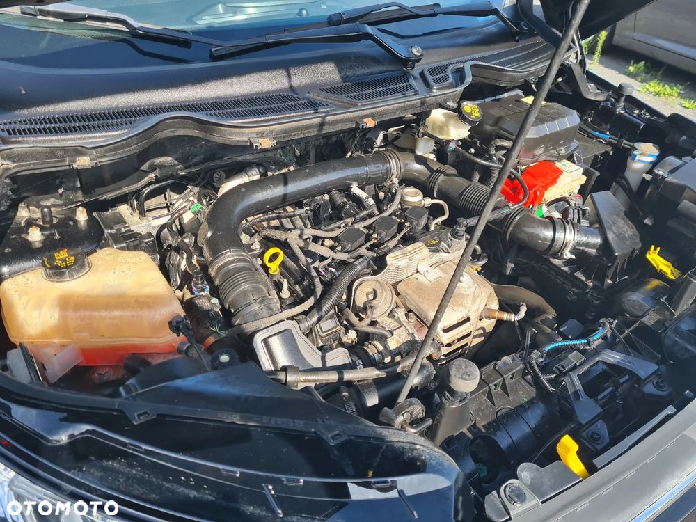 Ford EcoSport 1.0 EcoBoost GPF Titanium ASS - 5