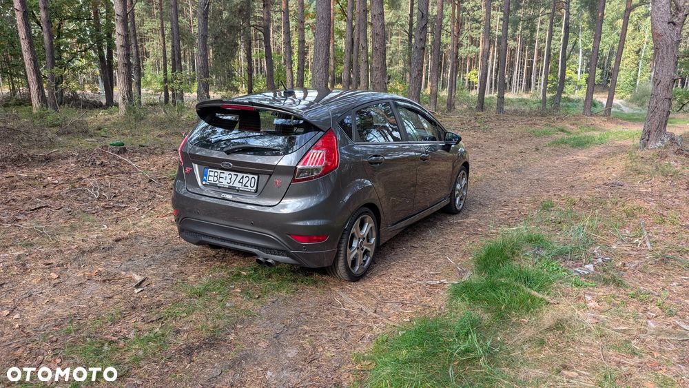 Ford Fiesta 1.6 EcoBoost ST200 - 17