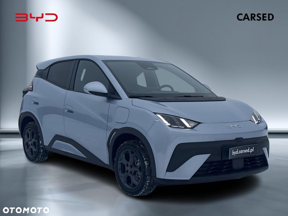 BYD Dolphin Surf - 8