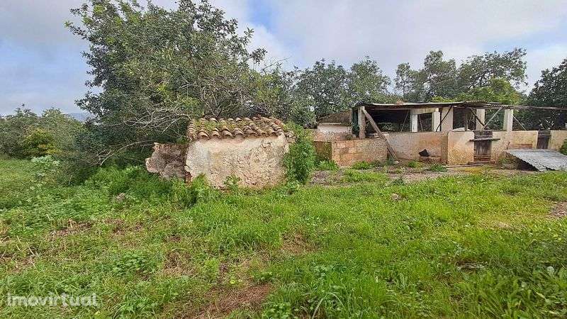 Quintinha com casa em ruínas para reconstrução – Quelfes, Olhão - Grande imagem: 5/11