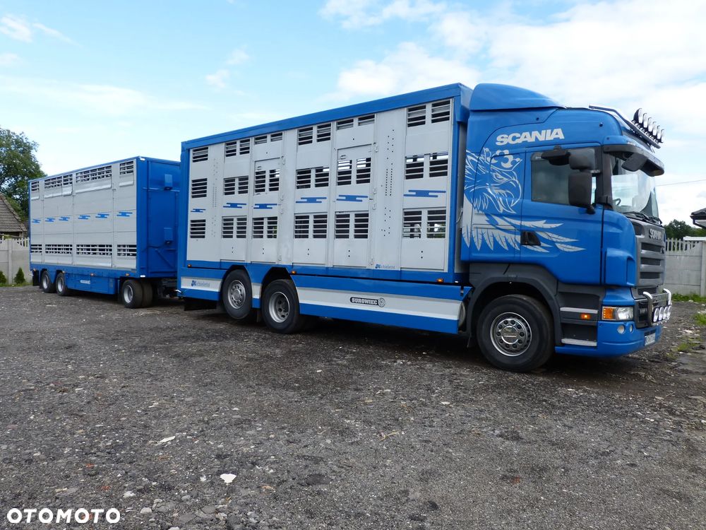 Scania R420 + PRZYCZEPA PEZZAIOLI / ZESTAW DO ŻYWCA, ZWIERZĄT, BYDŁA, TRZODY - 1