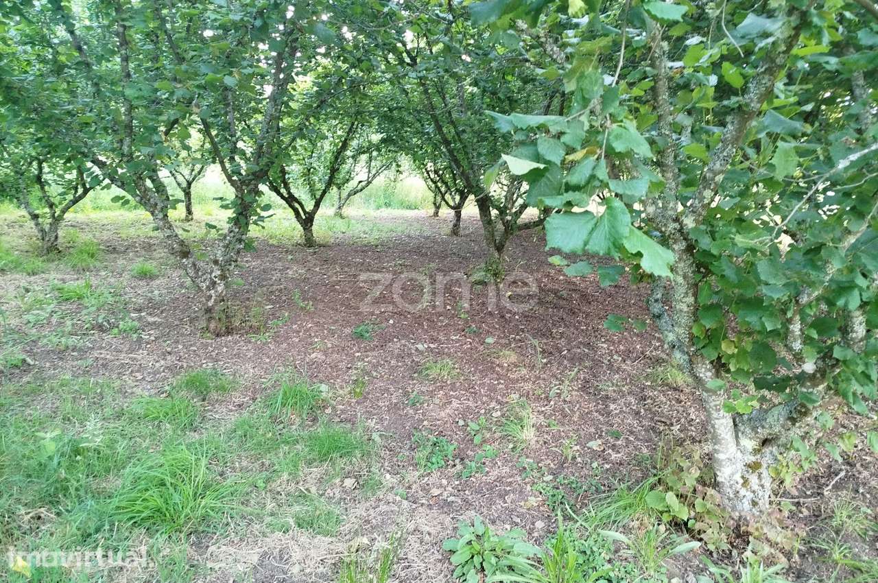 Terreno, 1 538 m², Viseu - Grande imagem: 3/18