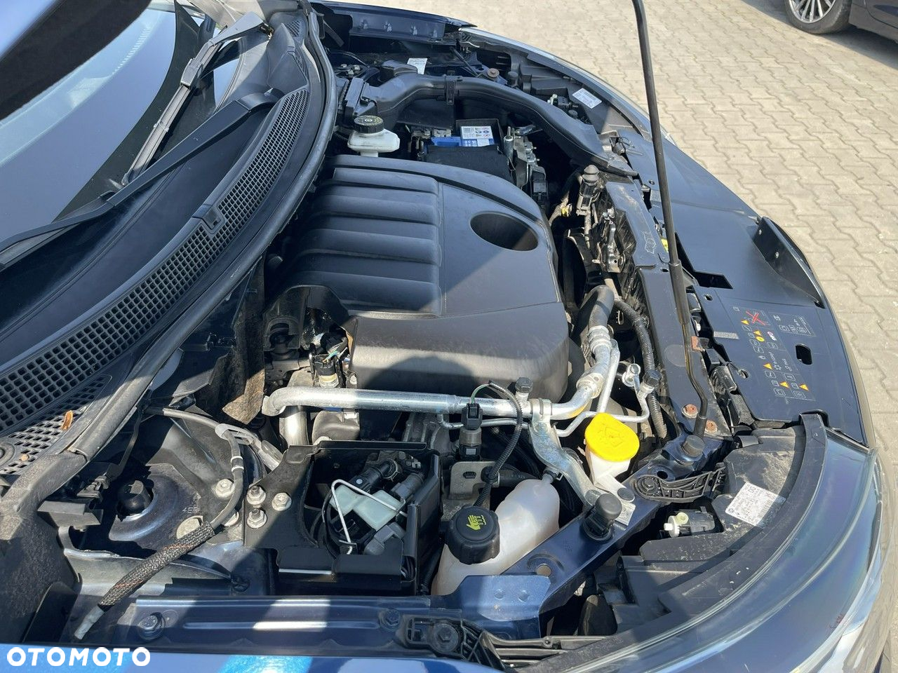 Renault Kadjar Energy dCi 110 EDC Business - 14