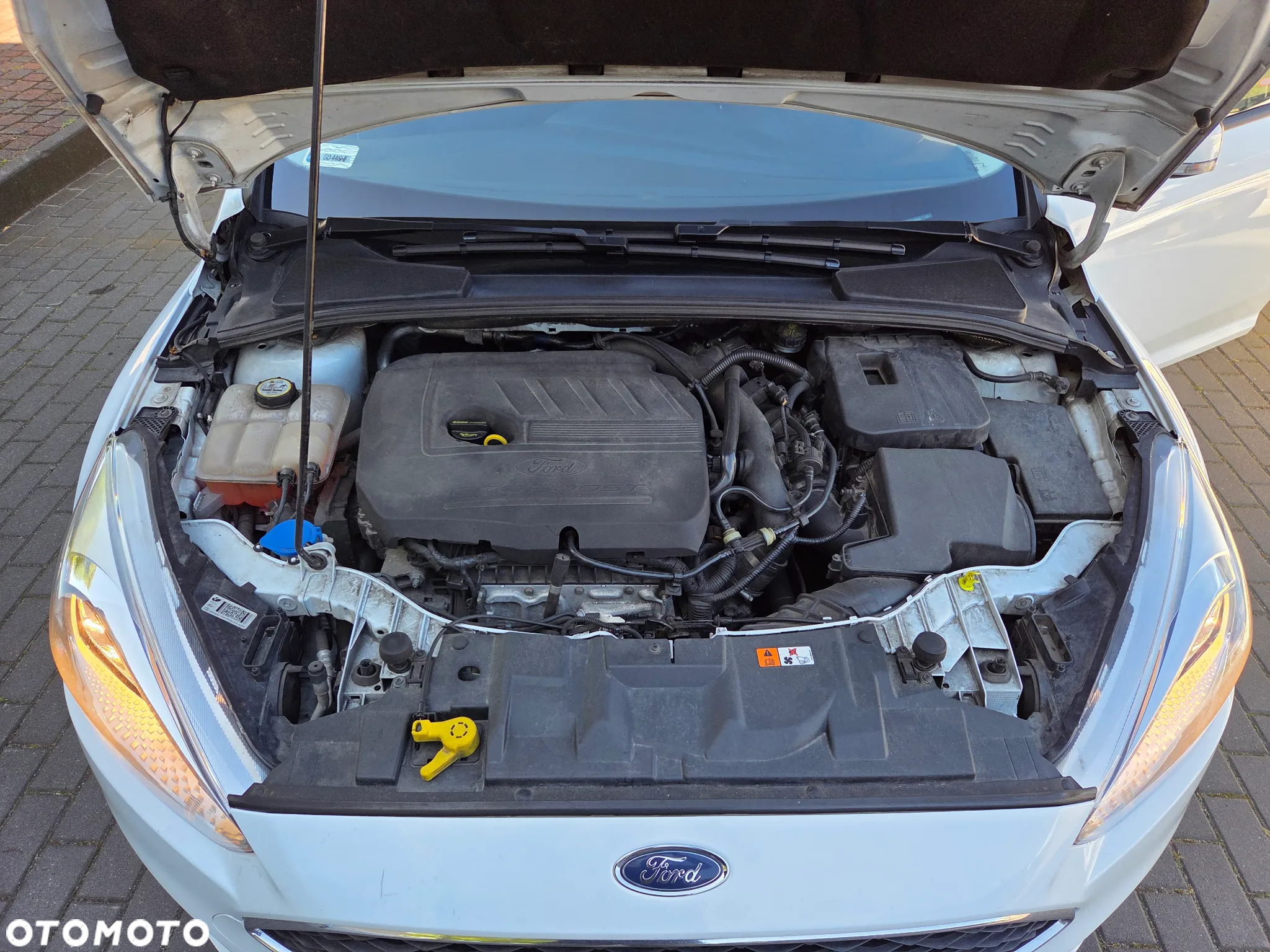 Ford Focus 1.5 EcoBoost Platinium X ASS - 26