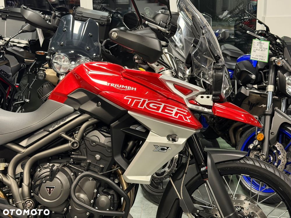 Triumph Tiger - 9