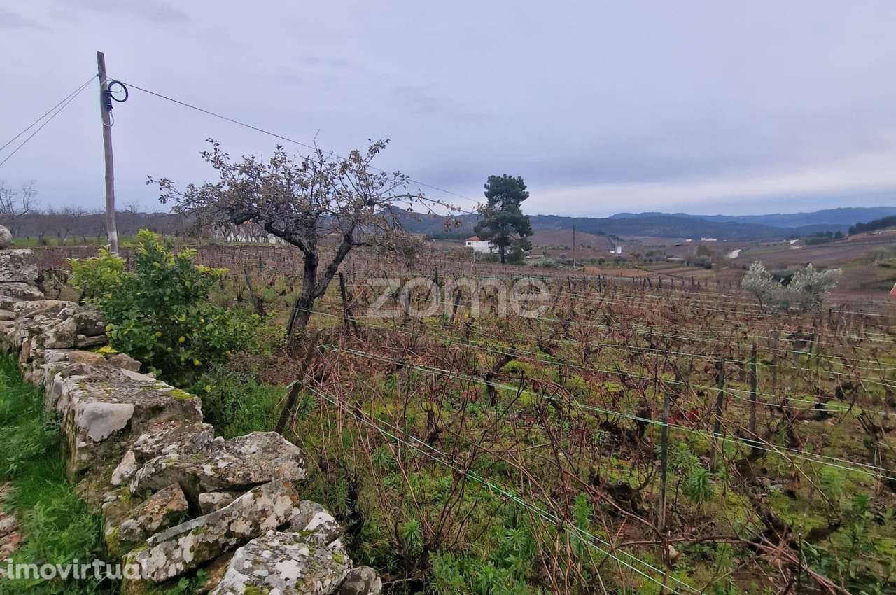 Terreno Urbano + Rústico à Venda no Centro da Vila – 6.940 m² - Grande imagem: 3/10