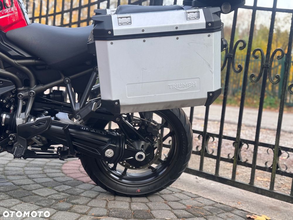 Triumph Tiger - 20