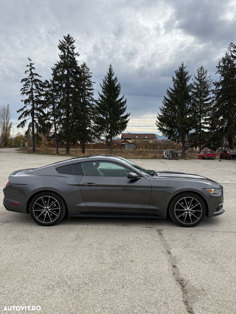Ford Mustang 2.3 EcoBoost Aut. - 5