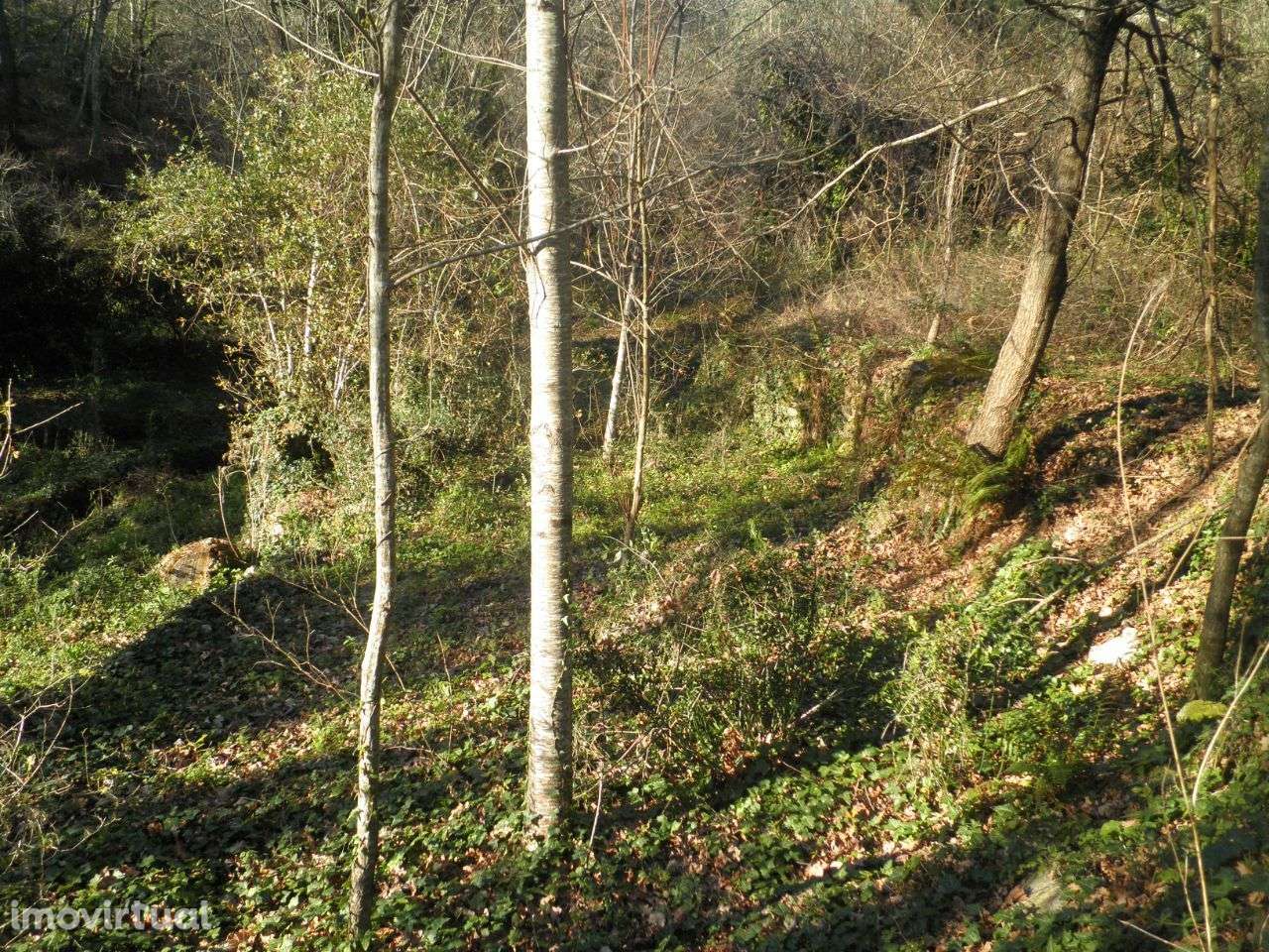 Terreno junto ao rio – Sever do Vouga - Grande imagem: 5/11