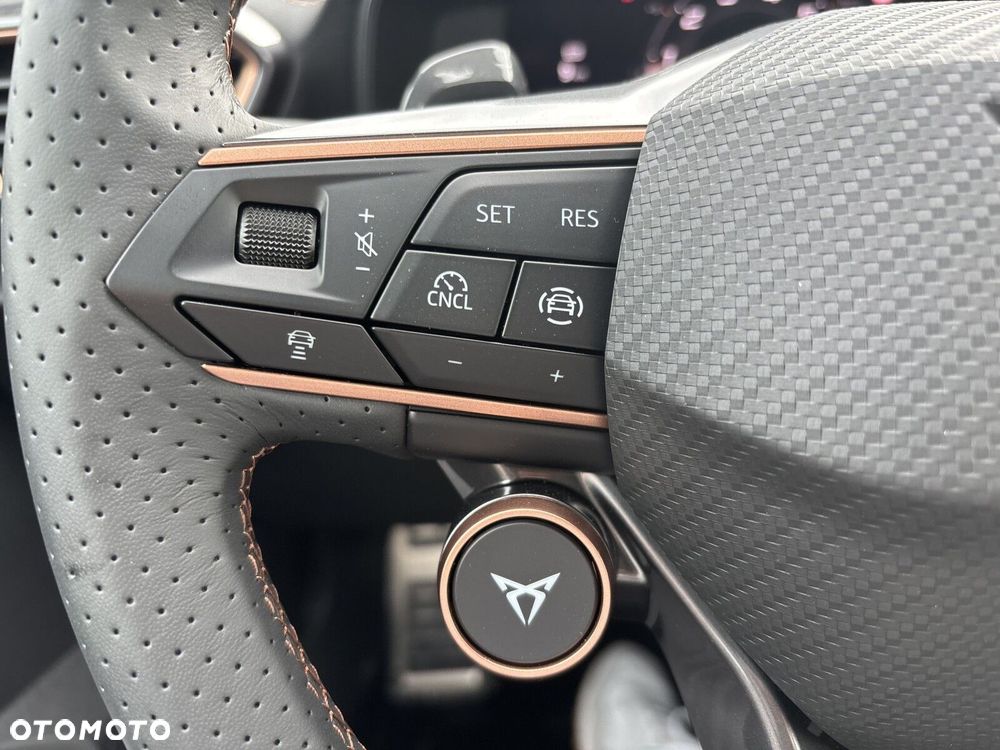 Cupra Formentor 2.0 TSI 4Drive DSG - 25