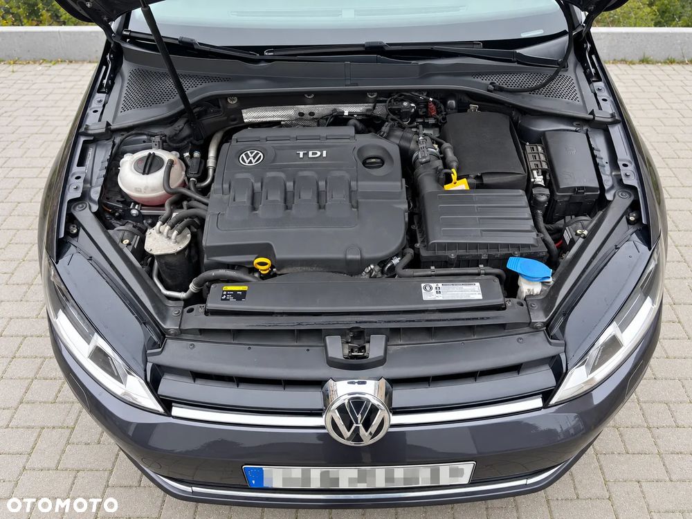Volkswagen Golf - 6