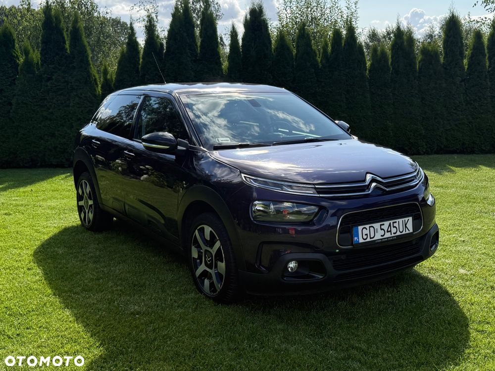 Citroën C4 Cactus PureTech 110 Stop&Start EAT6 Shine - 19