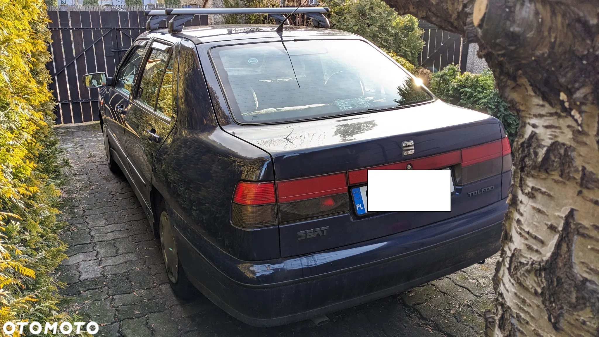 Seat Toledo 1.6 SE - 5
