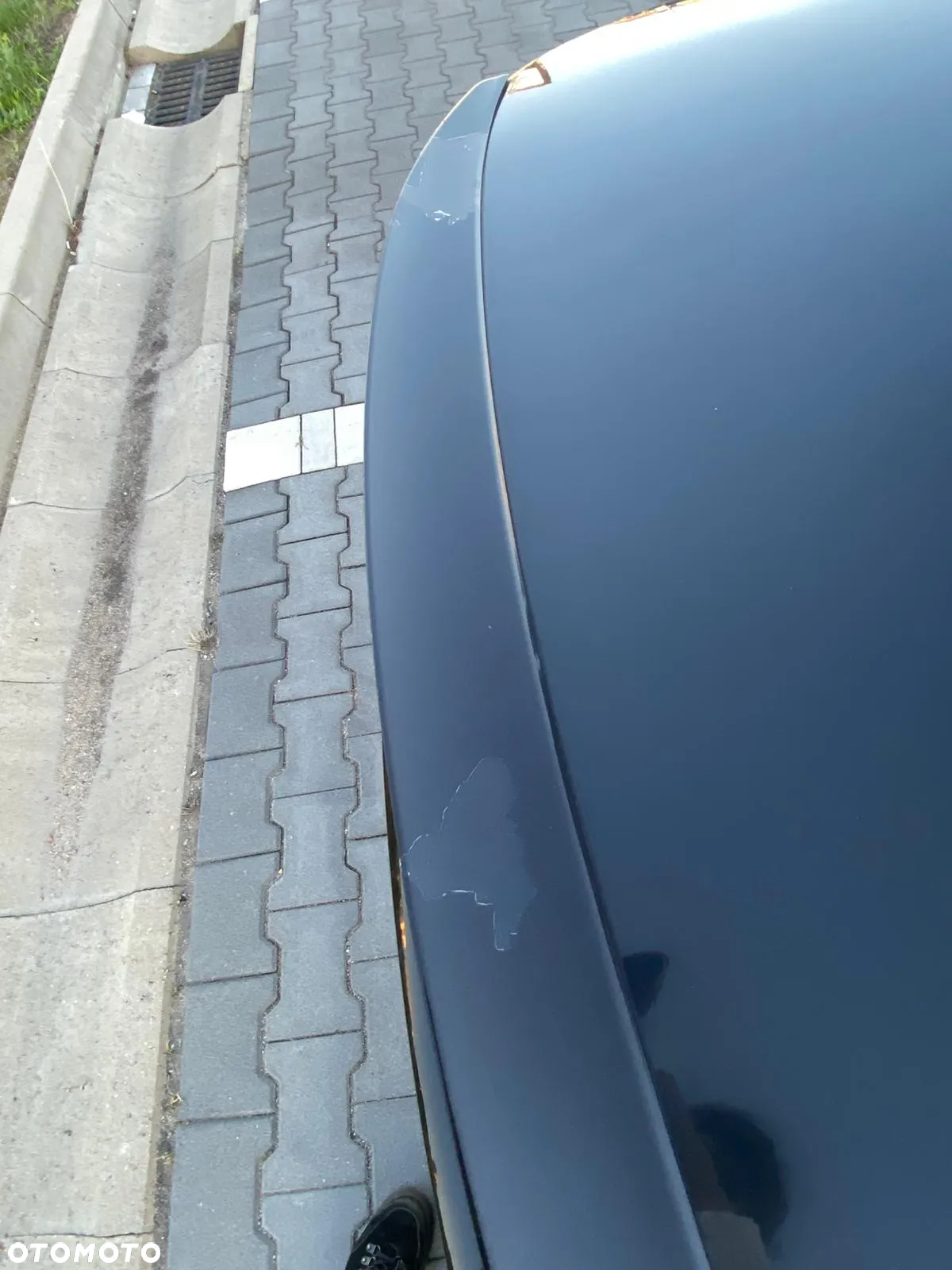 BMW Seria 3 - 10