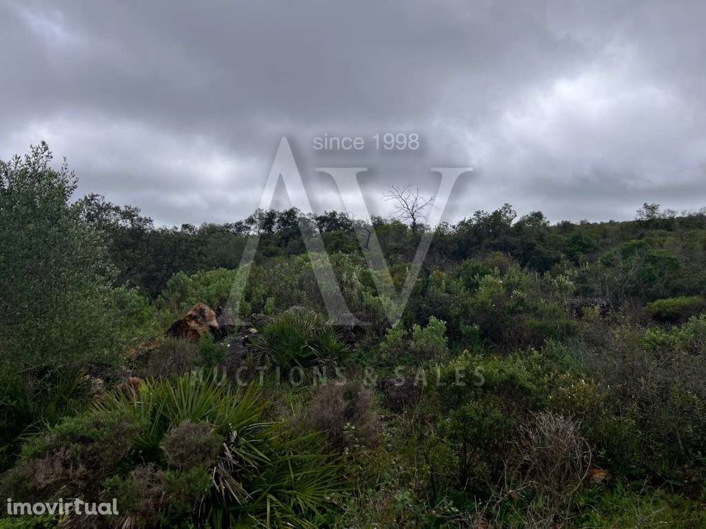 Terreno Rústico - Loulé |LEILÃO ELETRÓNICO| FIM 25*MAI - Grande imagem: 5/5
