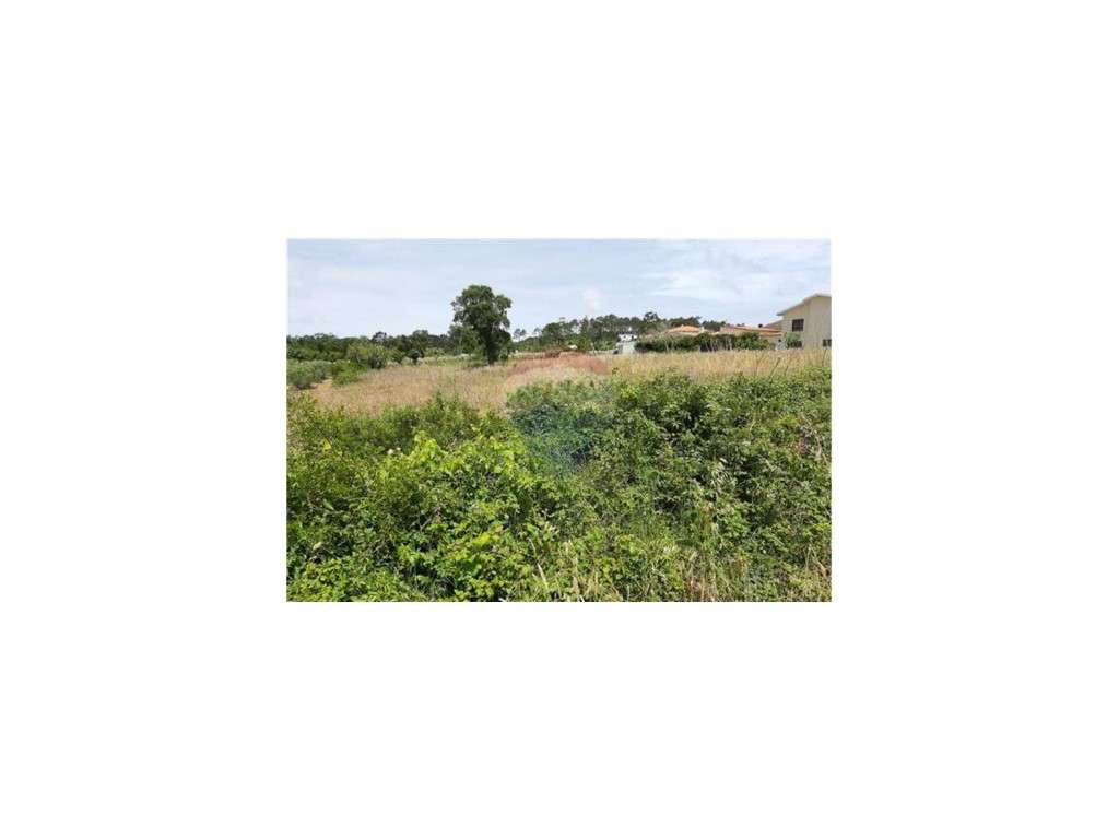 Terreno Venda Coimbra - Grande imagem: 2/3