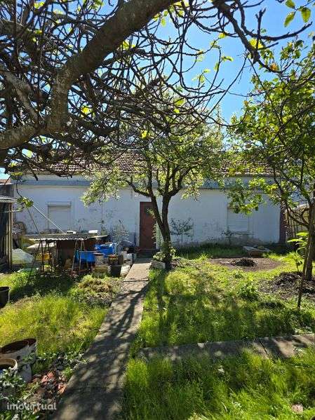 Arrendo casa com terreno Sta iria - Grande imagem: 5/9