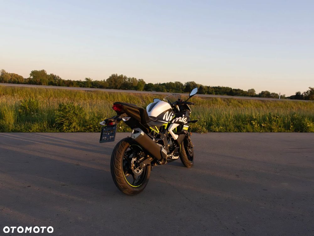 Kawasaki Ninja - 5