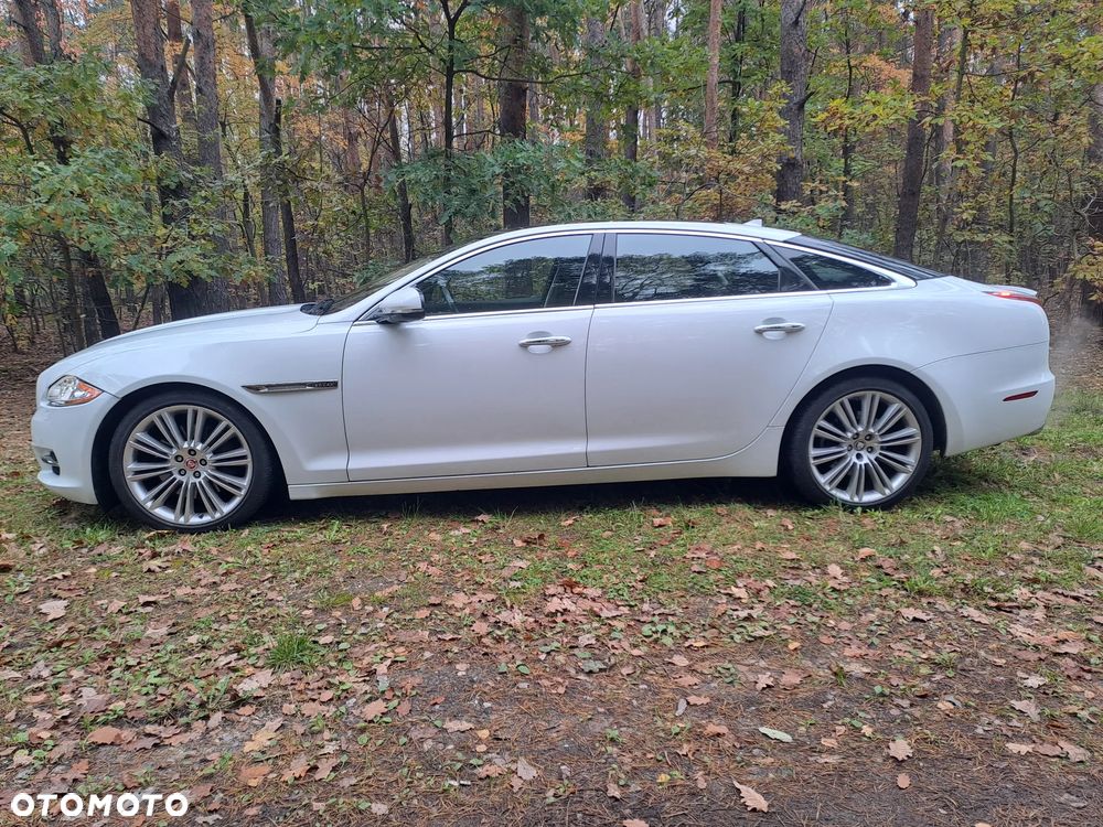Jaguar Xj 2014 photo 3