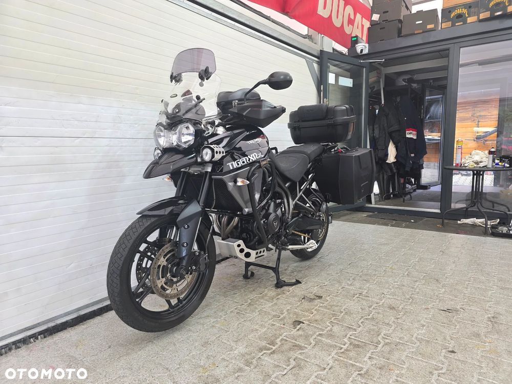 Triumph Tiger - 3