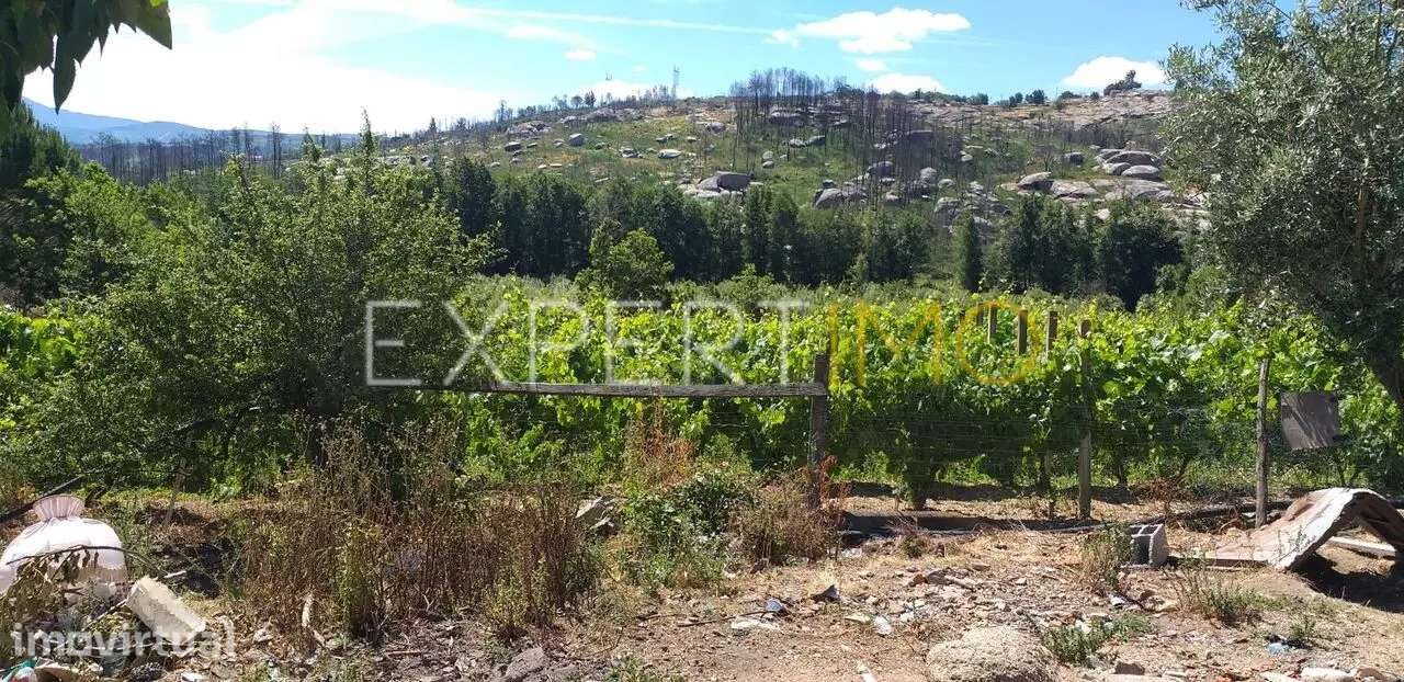 Casa de Habitação e Terreno Amplo em Localização Rural - Grande imagem: 5/25