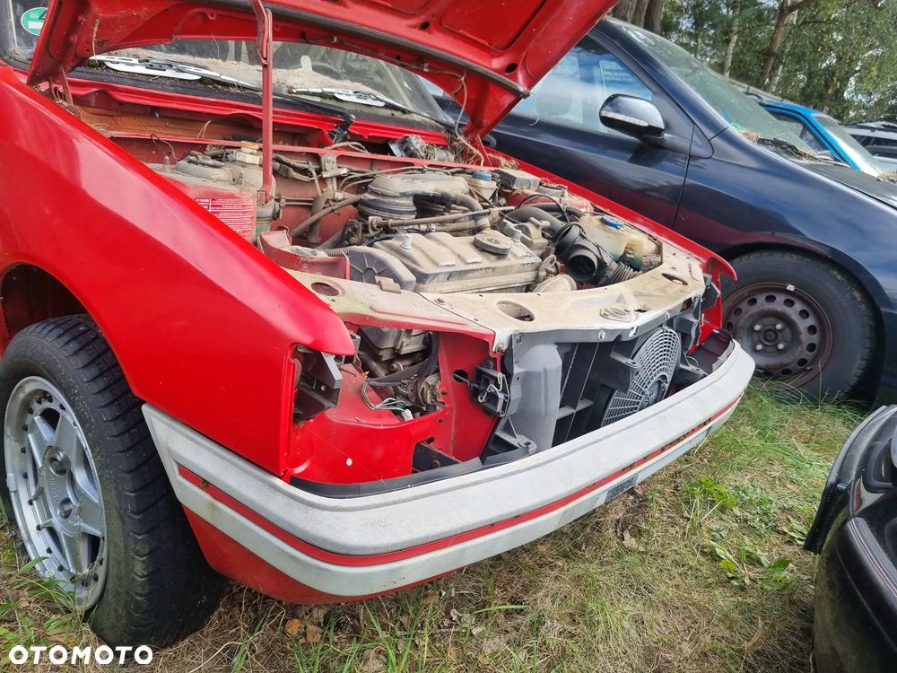 Peugeot 205 - 39