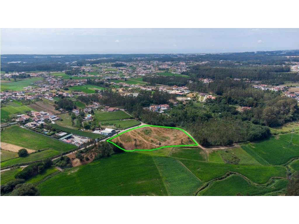 Terreno rústico com 12480m2 - Excelente oportunidade de investiment... - Grande imagem: 3/16