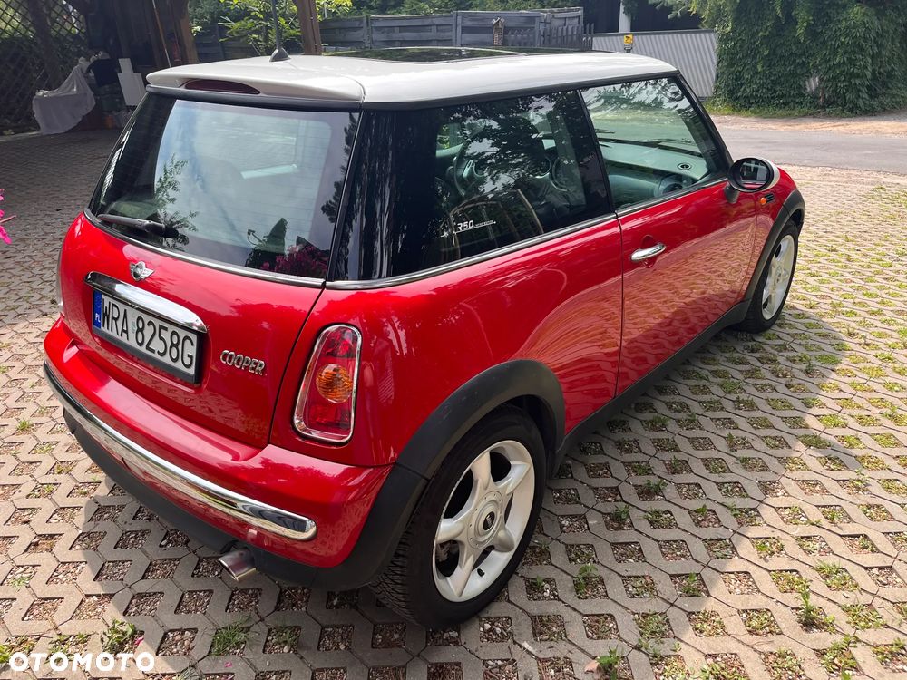 MINI Cooper chili - 5