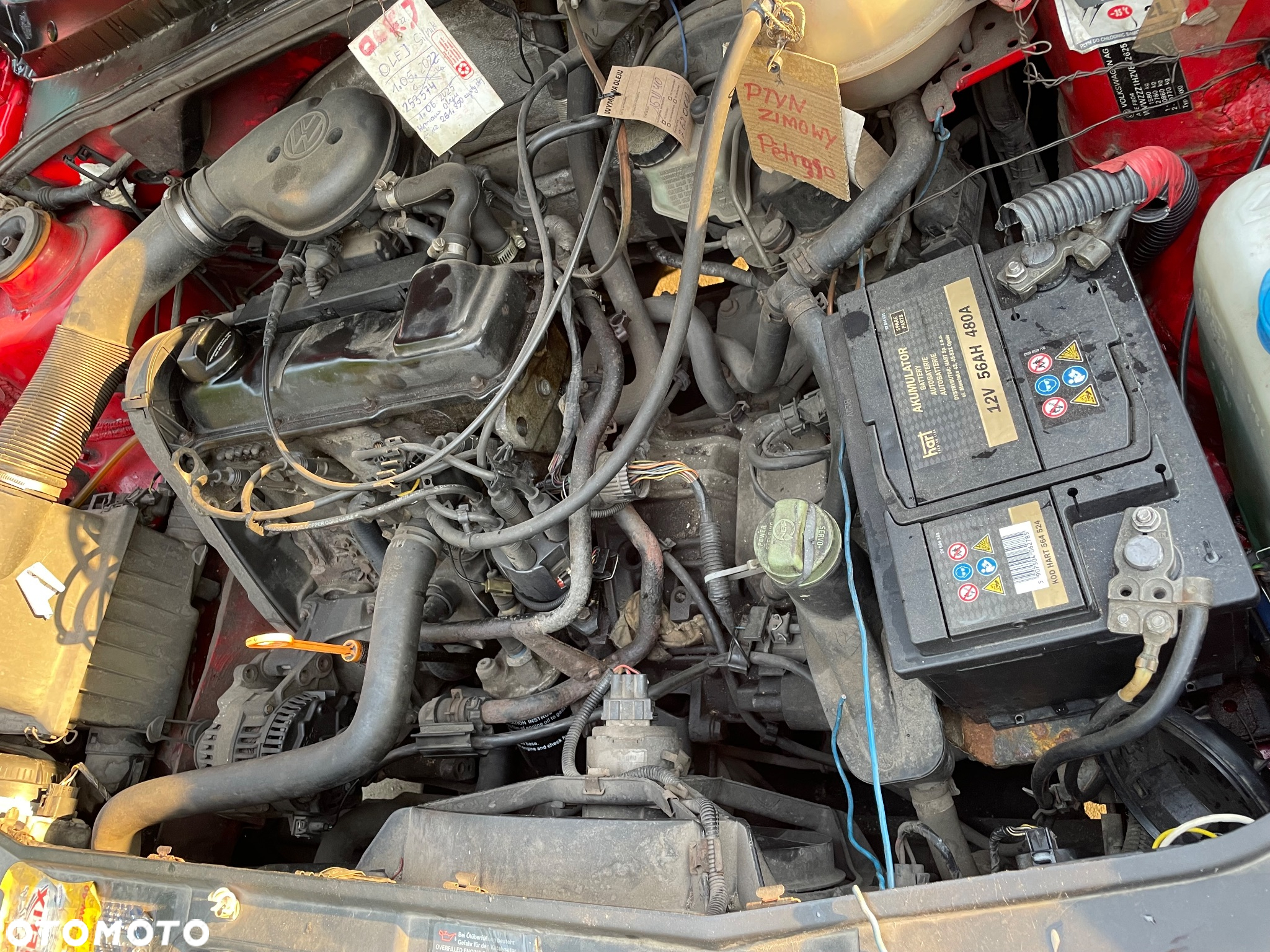 Volkswagen Golf - 22