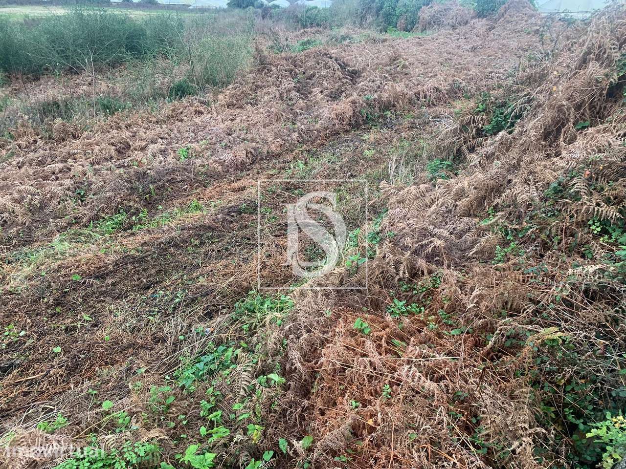 Terreno  Venda em Mujães,Viana do Castelo - Grande imagem: 5/15