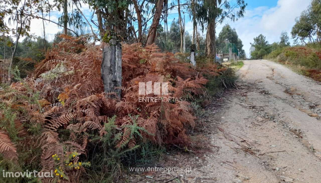 Venda Terreno, Travanca, Amarante - Grande imagem: 3/34