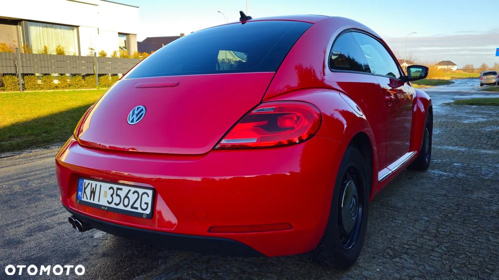 Volkswagen Beetle - 13