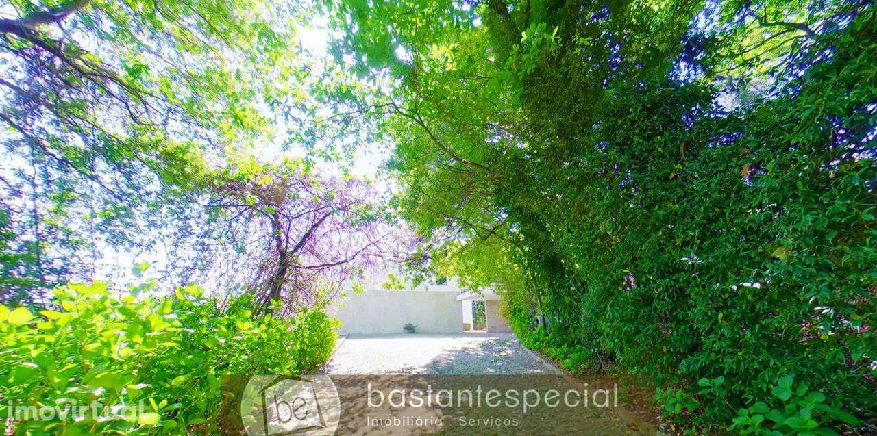 Moradia Térrea - Grande imagem: 2/60